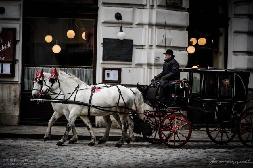 Curious tourists enjoy a horse and Carriage ride in the City of Vienna, Austria.